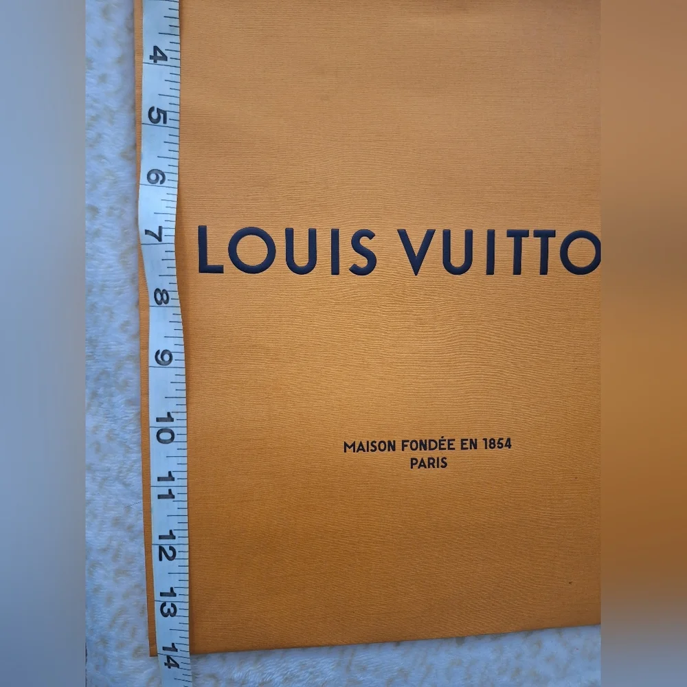 Louis Vuitton Paper Bag